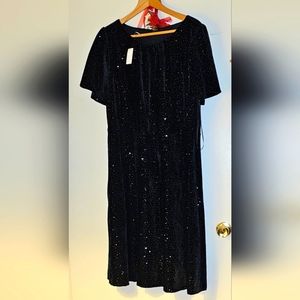 Talbots sequin dress